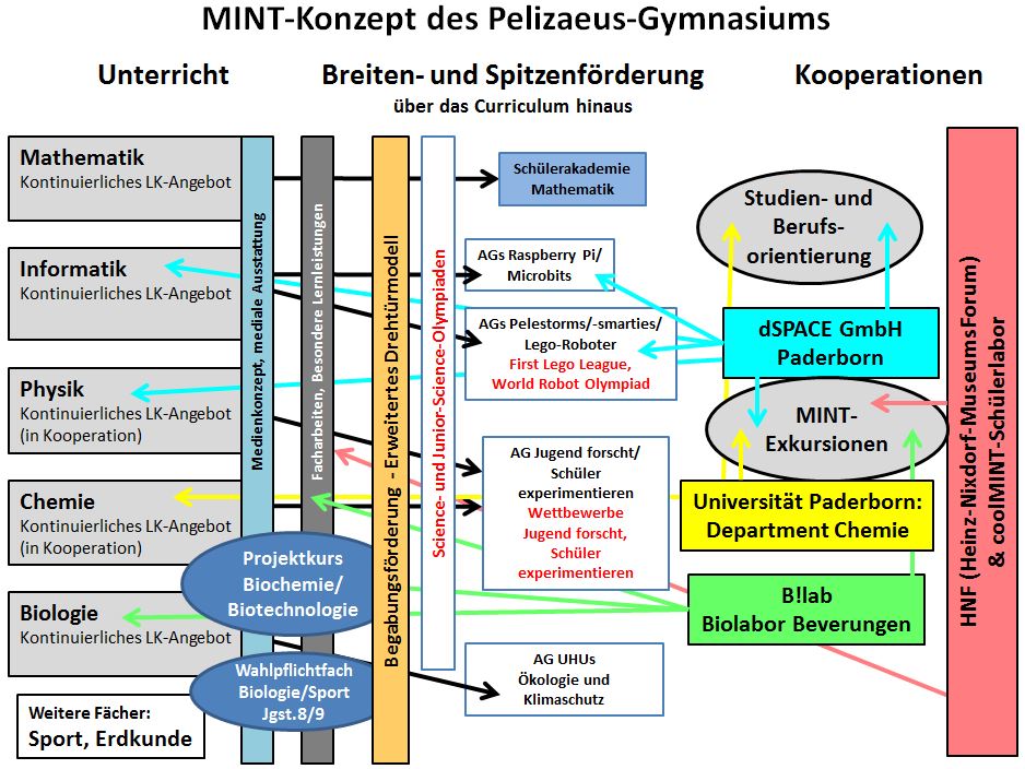 MINT_Konzept_Grafik